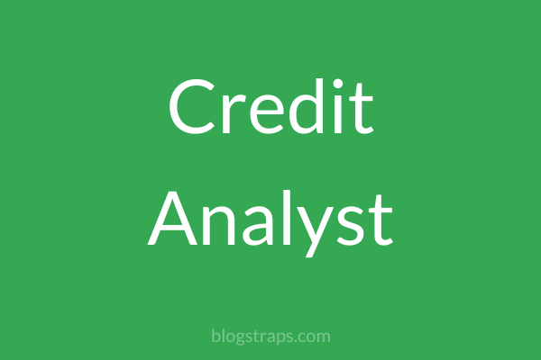 Credit Analyst