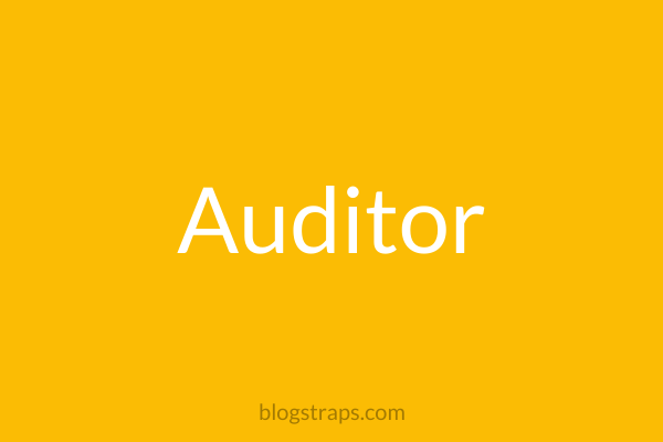 Auditor